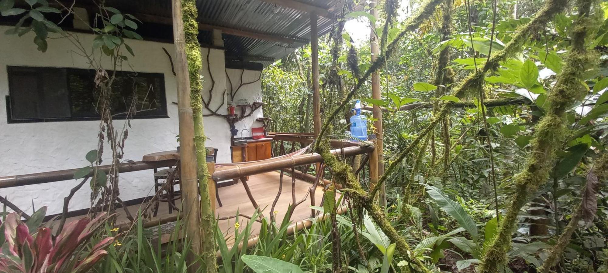 Cantalarana Lodge Mindo Zimmer foto